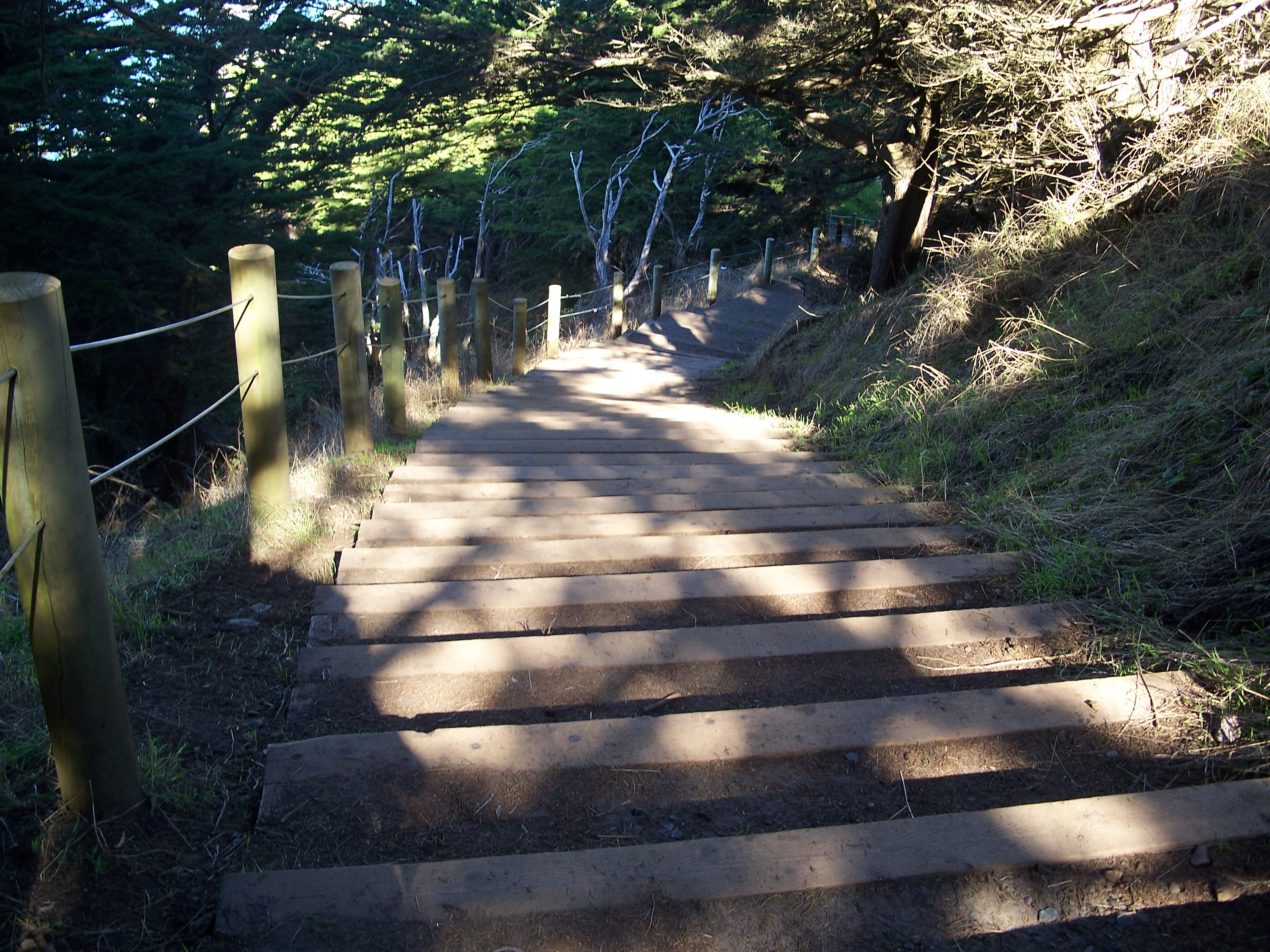 Long Stairs